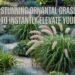 12 Stunning Ornamental Grass Ideas to Instantly Elevate Your Yard